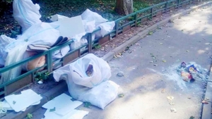 Un bucureștean a fost taxat dur, după ce și-a aruncat gunoiul pe stradă. Ce amendă a primit bărbatul
