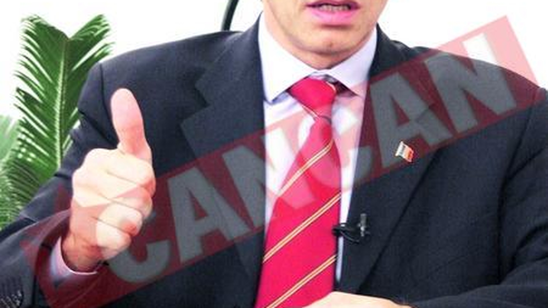 Mircea Geoana promite amnistie fiscala