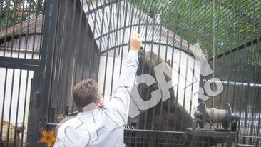 Animalele de la Zoo Onesti, ferite de ochii vizitatorilor de cinci ani