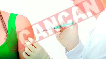 Gripa porcina va omori intre 3.300 si 6.000 de romani