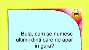 BANC | "Bulă, cum se numesc ultimii dinți care ne apar în gură?