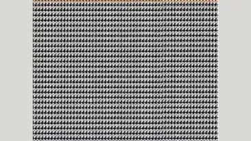 Test de inteligență | Identificați cifra 8 camuflată printre 9!