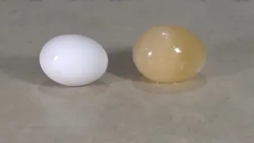 Experiment nebun! Ce se intampla daca bagi un ou in otet: trebuie sa incerci asta!