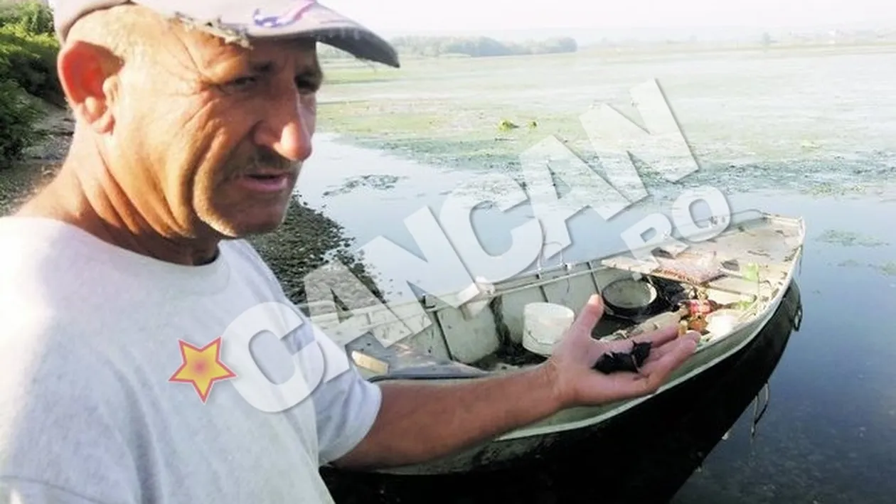 Alerta pe Dunare, la Hinova, Mehedinti! Plantele cu coarne au invadat fluviul