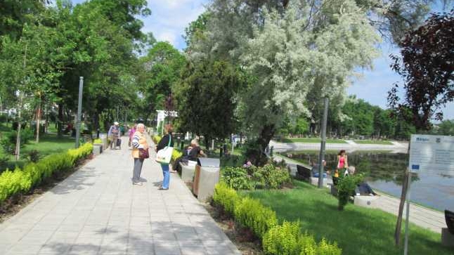 Incredibil ce au descoperit câțiva copii din Arad atunci când se jucau într-un parc