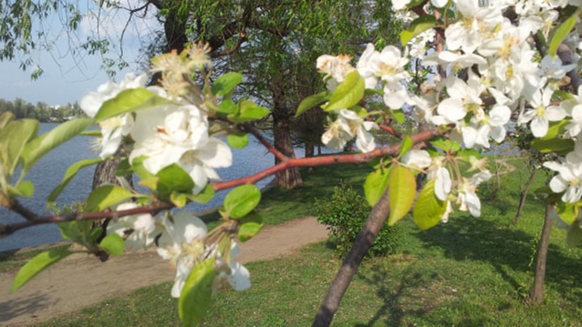 Meteo 19 aprilie. Afla cum va fi vremea duminica, dar si cum sa te imbraci