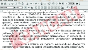 "Succesurile" Elenei Basescu au intrat in limbajul didactic