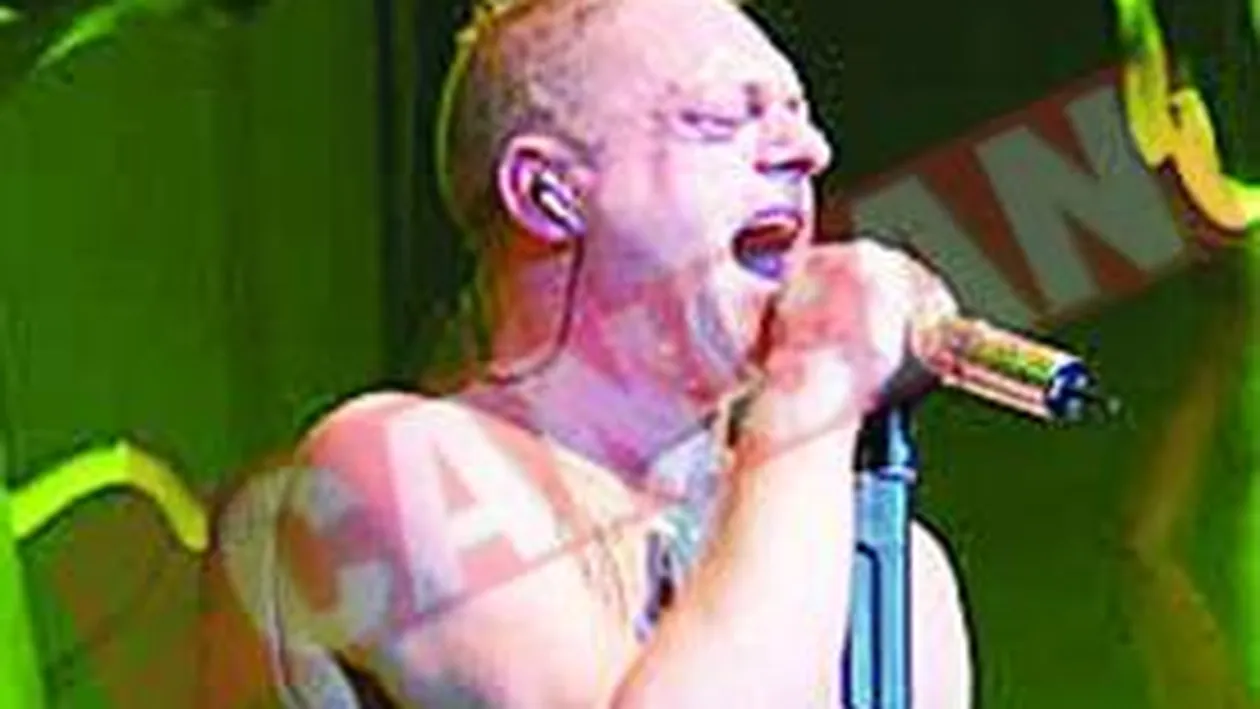 Solistul Erasure, brutarul Cheeky Girls