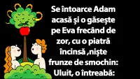 BANC | Se întoarce Adam acasă și o găsește pe Eva frecând de zor, cu o piatră încinsă, niște frunze de smochin