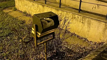 Ieși din scara blocului și coșul de gunoi din fața scării îți face cu ochiul! Ce a văzut o femeie din Iași în acest tomberon