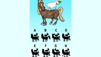 Test de inteligență | Care este umbra corectă a celor două animale din imagine?
