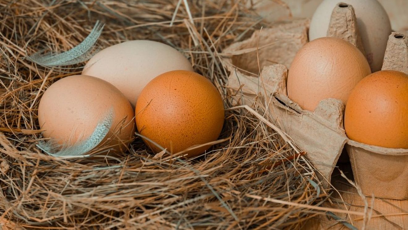Pariu că nu ştiai asta? Care este diferenţa dintre ouăle maro şi ouăle albe