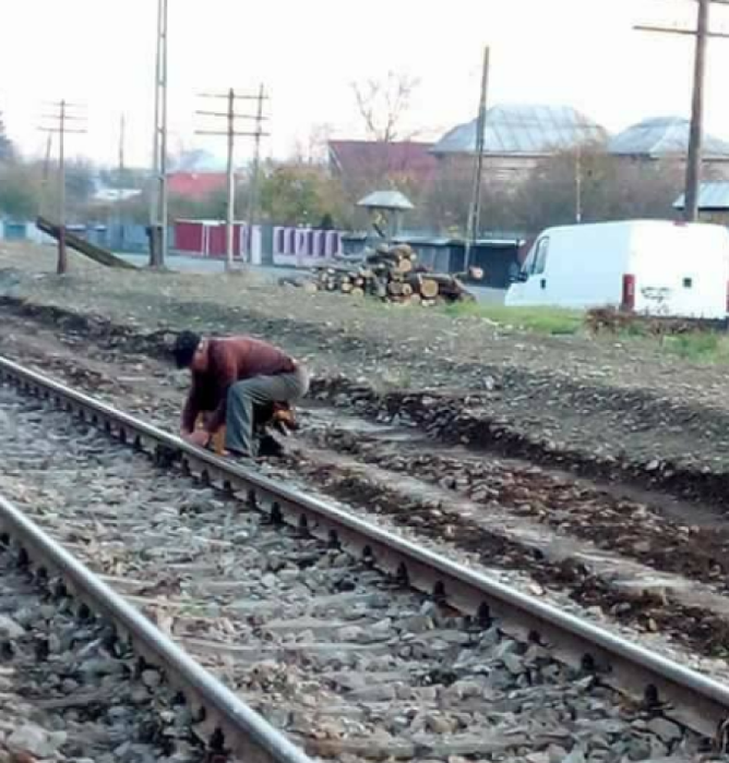 Bătrânul şi-a legat intenţionat câinele de şinele de cale ferată, apoi a aşteptat să vină trenul! Ce s-a întâmplat după câteva minute