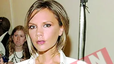 Isi doreste o mostenitoare pentru haine