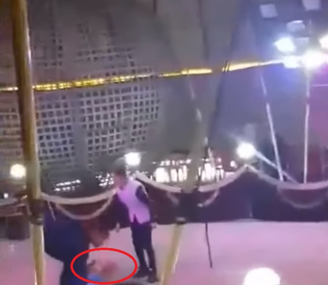 Momentul în care o acrobată cade în gol, după ce coarda de susţinere s-a rupt. Au urmat scene traumatizante la spectacolul de circ în Hunedoara | VIDEO
