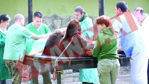 Operatii in premiera la gradina zoologica