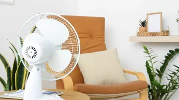 (P) Top 7 modele de ventilatoare care te ajută să faci față temperaturilor ridicate în apartament