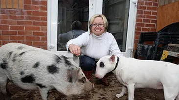 Micro-porcul unei britanice a crescut intr-un an cat cainele!