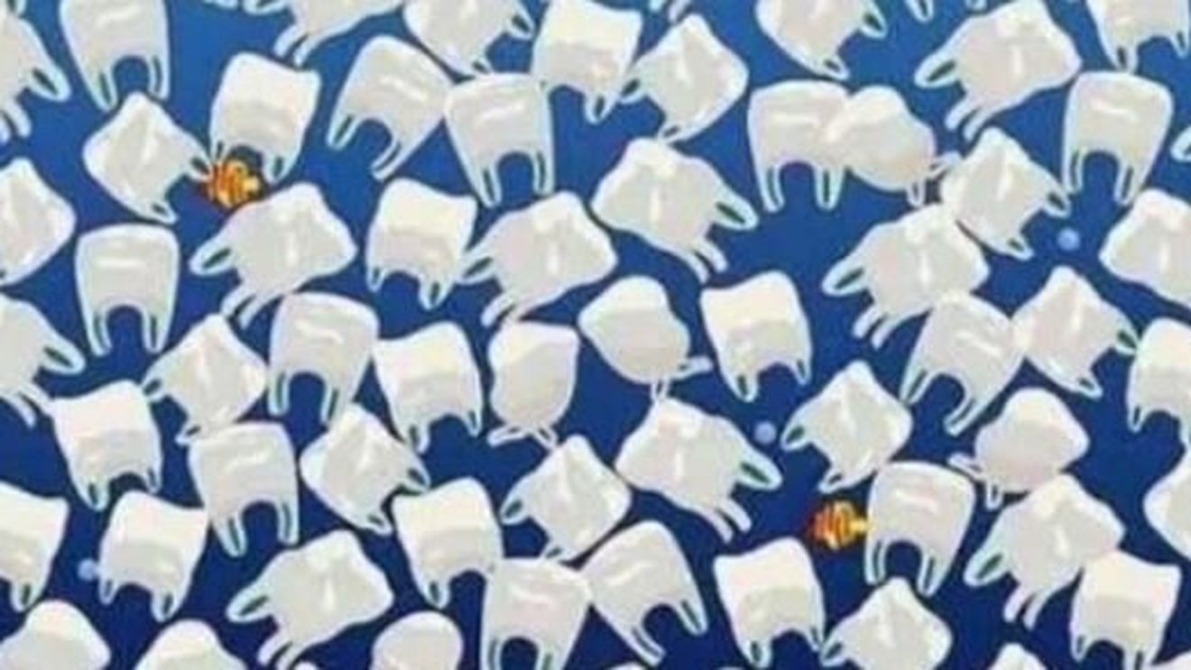 Iluzia optică a zilei | O meduză este ascunsă în această imagine. Tu reuşeşti să o găseşti?