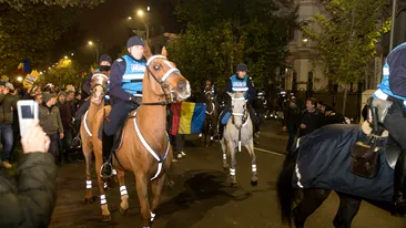 Jandarmii au cerut public date despre indivizii care au lovit caii la protestul de duminică