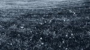 Cel putin 23 de morti si peste 160 de raniti in China, in urma unei tornade