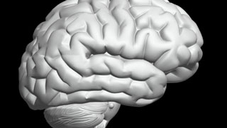 Implantul cerebral cu matase, eficient in tratarea epilepsiei