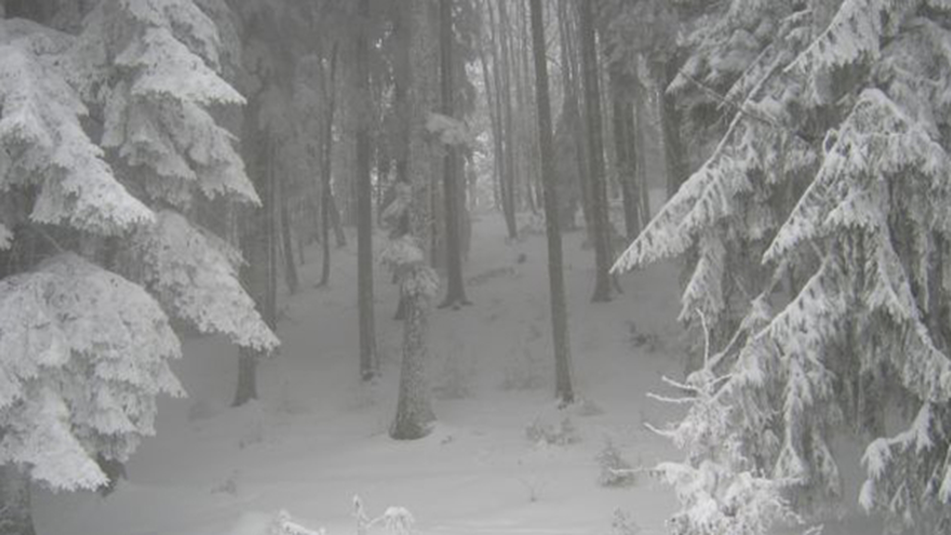 METEO 23 IANUARIE. Afla cum va fi vremea sambata inainte sa iesi din casa
