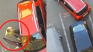 Accident tragic în Târgu Jiu! Secretara președintelui CJ Gorj și-a pierdut viața după ce a fost lovită de mașina unei colege