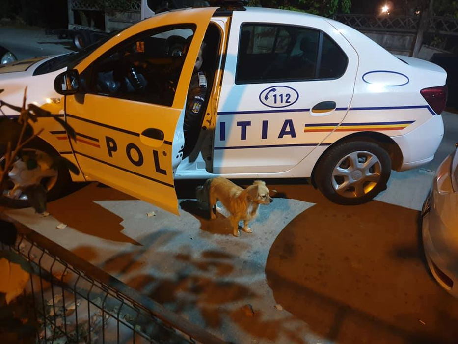 Polițiștii l-au condus acasă pe eroul Bobiță