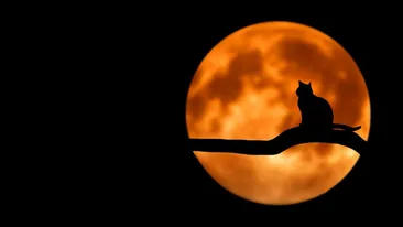 Horoscop zilnic 24 iulie 2021. Lună Plină în zodia Vărsător