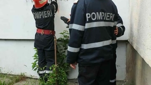 Alertă la Videle. Un copil în vârstă de 6 ani a rămas cu capul prins între gratiile unei ferestre! Pompierii au intervenit rapid