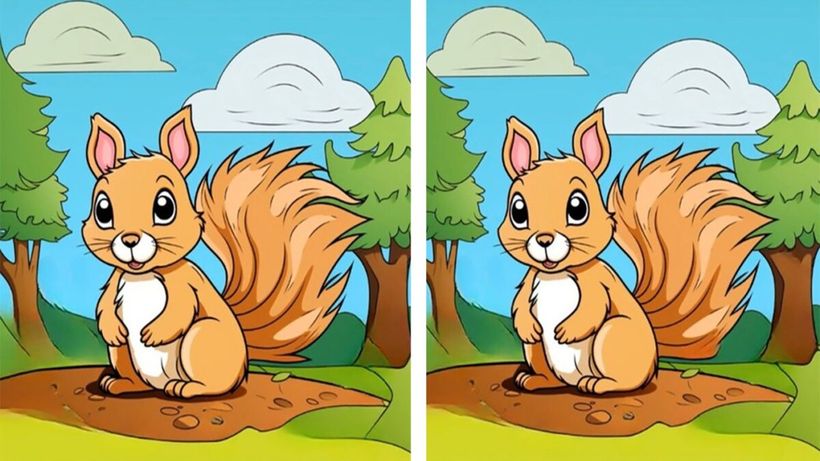 Test de perspicacitate | Identificați toate cele 3 diferențe dintre veverițele din această imagine!