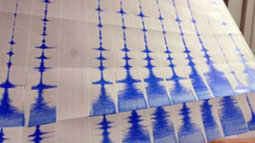 ULTIMA ORĂ! Un alt cutremur s-a produs în Vrancea în acestă dimineaţă! Ce magnitudine a avut seismul