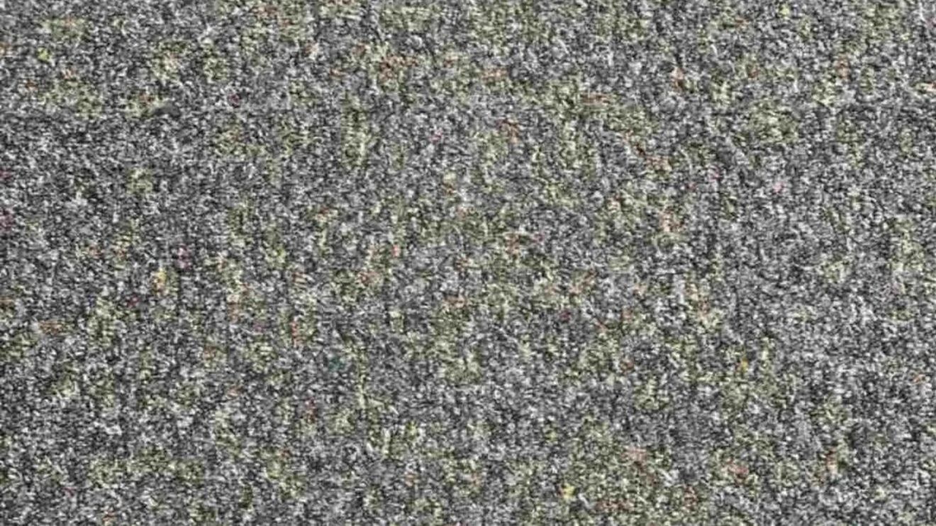 Test de inteligență | 98% din oameni nu văd unde se ascunde mina de creion din această poză