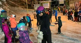 Galerie foto - poza 4