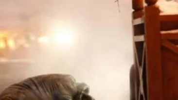 Gerul face victime: 34 de persoane au murit din cauza vremii nefavorabile!