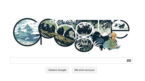 DIAN FOSSEY, sarbatorita de GOOGLE printr-un DOODLE special, la 82 de ani de la nasterea cercetatoarei americane