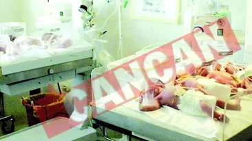 A nascut sapte copii