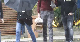 Galerie foto - poza 1