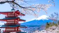 Japonia, în centrul unei teorii bizare. Turismul, în scădere din cauza unor benzi desenate