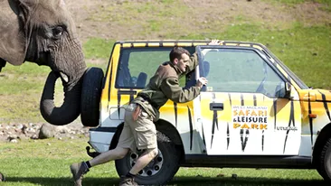 FOTO IMPRESIONANT! Un elefant a impins masina stricata a ingrijitorului