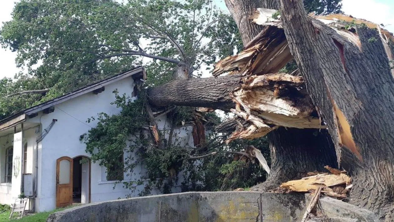 Clădirea unde se desfăşura în fiecare an Divan Film Festival a fost distrusă noaptea trecută. A zecea ediție a evenimentului, anulată