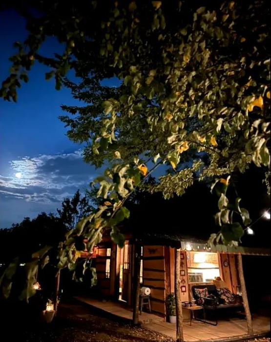 Cum arată casa de vacanță a dr. nutriționist Mihaela Bilic. Și-a construit propria oază de liniște pe Valea Prahovei