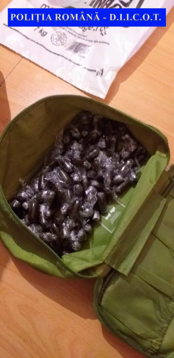 În urma perchezitiilor, polițiștii au ridicat 500 de grame de canabis, ustensile folosite la cultivare, cântare electronice, grindere pentru mărunțit canabisul, pastile ecstasy și ciuperci halucinogene.