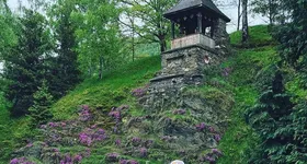 Galerie foto - poza 3