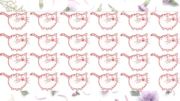 Test de logică | Găsiți singura pisică diferită de toate celelalte!