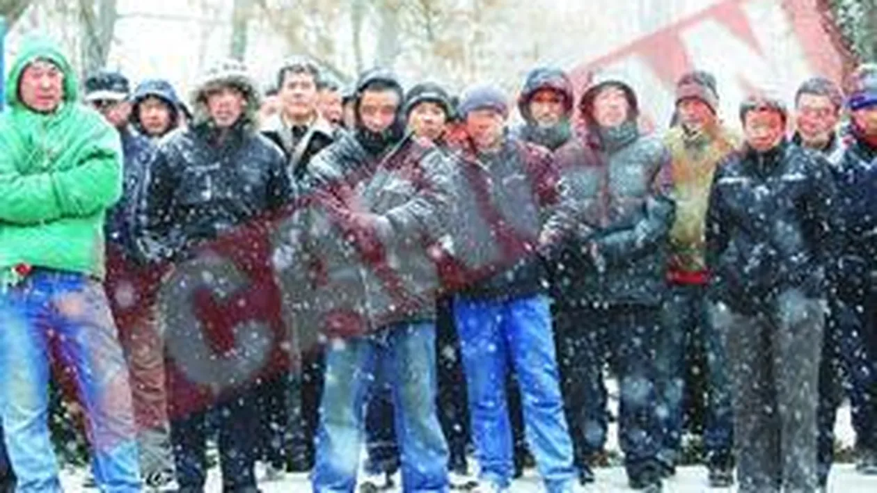 Chinezii din constructii parasesc Romania