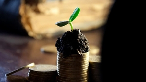 Curs valutar BNR joi, 11 februarie 2021. Euro s-a ieftinit azi, iar dolarul se află în scădere