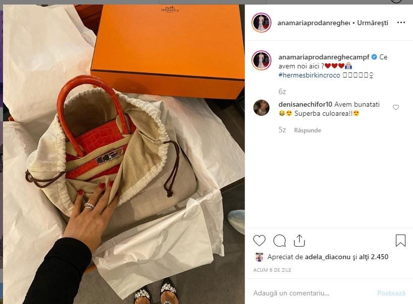 Anamaria Prodan şi-a luat geantă de 77.000 €