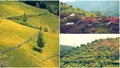Satul unic din România unde au trăit haiducii. Puțini știu unde se află, niciun turist nu ajunge aici